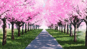 My Summer Adventure: Memories of Another Life, Steam Gift