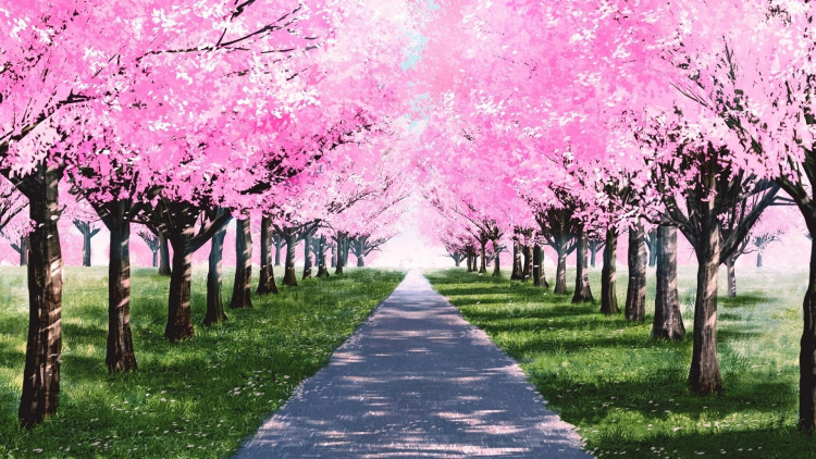 My Summer Adventure: Memories of Another Life, Steam Gift